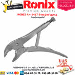 RONIX RH-1417 Յազվա կլյուչ 250մմ - Image 4