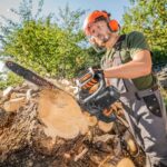 DNIPRO-M DSE-15S Էլեկտրական շղթայավոր սղոց