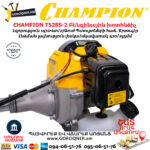 CHAMPION T528S-2 Բենզինային խոտհնձիչ