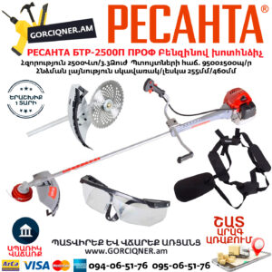РЕСАНТА БТР-2500П ПРОФ Բենզինով խոտհնձիչ