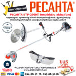 РЕСАНТА БТР-2900П Խոտհնձիչ բենզինով