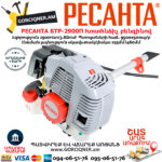 РЕСАНТА БТР-2900П Խոտհնձիչ բենզինով