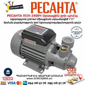РЕСАНТА ПСН-2400Ч Արտաքին ջրի պոմպ