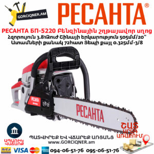 РЕСАНТА БП-5220 Բենզինային շղթայավոր սղոց