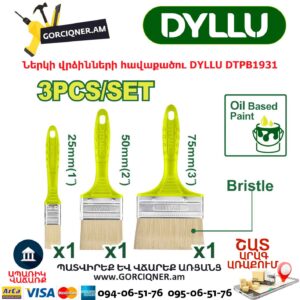 Ներկի վրձինների հավաքածու DYLLU DTPB1931