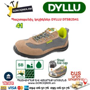 Պաշտպանիչ կոշիկներ DYLLU DTSB2541
