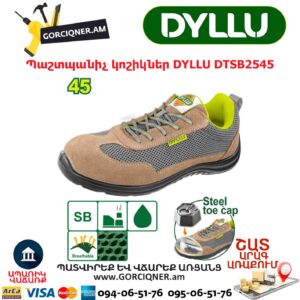 Պաշտպանիչ կոշիկներ DYLLU DTSB2545