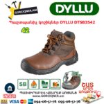 Պաշտպանիչ կոշիկներ DYLLU DTSB3542