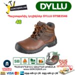 Պաշտպանիչ կոշիկներ DYLLU DTSB3546