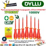 Պտուտակահանների հավաքածու DYLLU DTSS7407