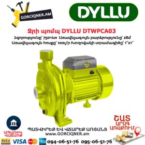 Ջրի պոմպ DYLLU DTWPCA03