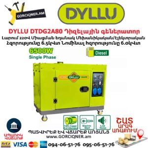 Անաղմուկ դիզելային գեներատոր DYLLU DTDG2A80