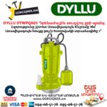 Դրենաժային սուզվող ջրի պոմպ DYLLU DTWPQA01