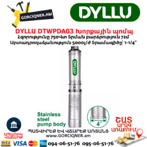 Խորքային ջրի պոմպ DYLLU DTWPDA03