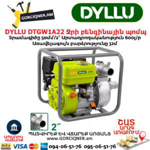 Ջրի բենզինային պոմպ DYLLU DTGW1A22