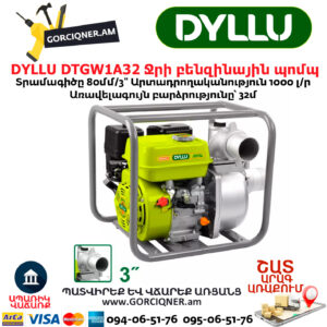 Ջրի բենզինային պոմպ DYLLU DTGW1A32