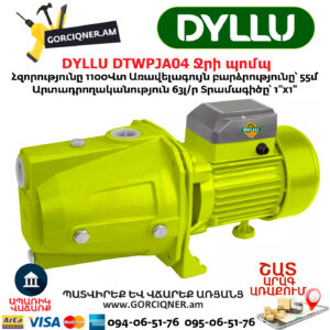 Ջրի պոմպ DYLLU DTWPJA04
