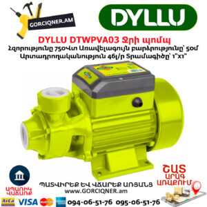 Ջրի պոմպ արտաքին DYLLU DTWPVA03