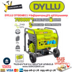 Բենզինային գեներատոր ինվերտորային DYLLU DTGEAB11