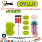 Գրավերի նասատկաների հավաքածու DYLLU DTRR5010