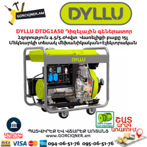 Դիզելային գեներատոր DYLLU DTDG1A50
