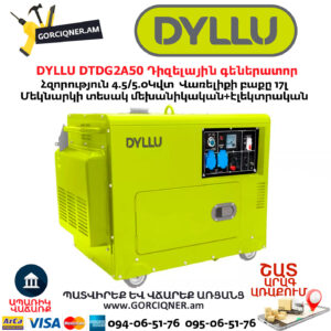Դիզելային գեներատոր DYLLU DTDG2A50