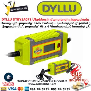 Մեքենայի մարտկոցի լիցքավորիչ DYLLU DTBY1A071