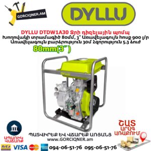 Ջրի դիզելային պոմպ DYLLU DTDW1A30