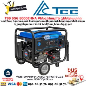 Գեներատոր բենզինային TSS SGG 8000EHNA