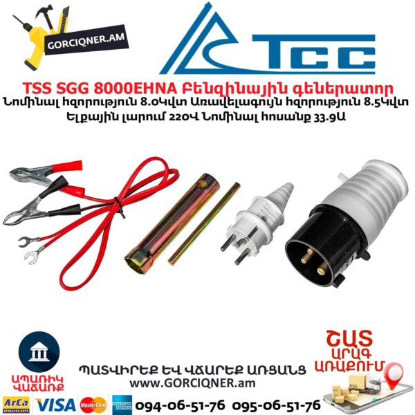 Գեներատոր բենզինային TSS SGG 8000EHNA