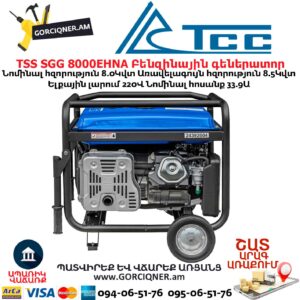 Գեներատոր բենզինային TSS SGG 8000EHNA