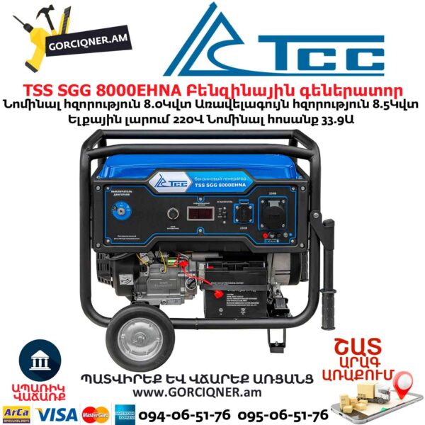 Գեներատոր բենզինային TSS SGG 8000EHNA