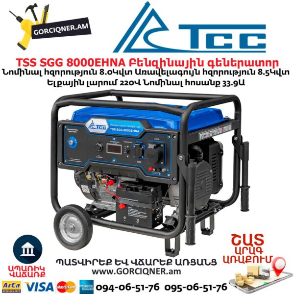Գեներատոր բենզինային TSS SGG 8000EHNA