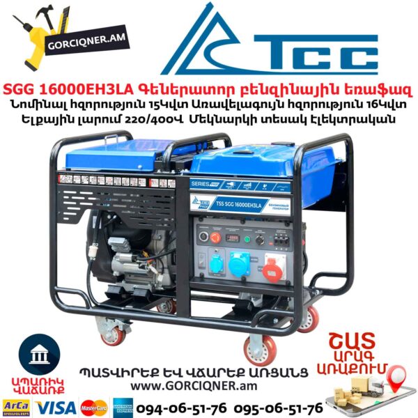 Գեներատոր բենզինային եռաֆազ TSS SGG 16000EH3LA 15/16Կվտ-400/220Վ էլեկտրական - Image 5
