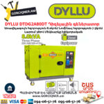 Դիզելային գեներատոր DYLLU DTDG2A80DT