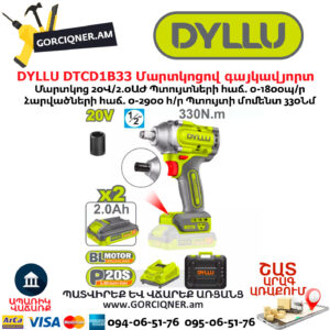 Մարտկոցով գայկավյորտ հարվածային DYLLU DTCD1B33