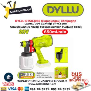 Մարտկոցով ներկացիր DYLLU DTSU3066