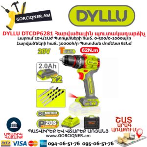 Մարտկոցով պուտակադարձիչ հարվածային DYLLU DTCDP6281