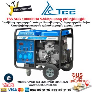 Գեներատոր բենզինային TSS SGG 10000EHA