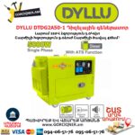 Դիզելային գեներատոր DYLLU DTDG2A50-1