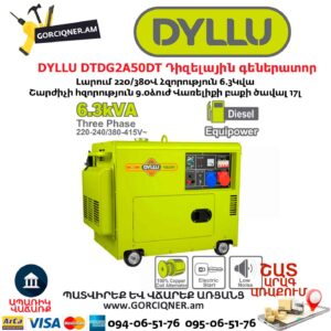Դիզելային գեներատոր DYLLU DTDG2A50DT