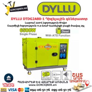 Դիզելային գեներատոր DYLLU DTDG2A80-1
