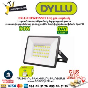 Լեդ լուսարձակ DYLLU DTWX15501