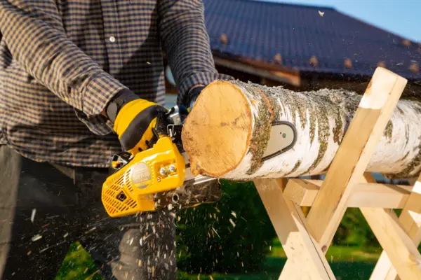 Բենզինային շղթայավոր սղոց CHAMPION 126T-10