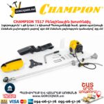 Բենզինային խոտհնձիչ CHAMPION T517 2.0Ձուժ - Image 6