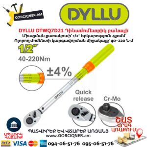 Դինամոմետրիկ բանալի DYLLU DTWQ7D21