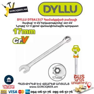 Համակցված բանալի DYLLU DTSA1317